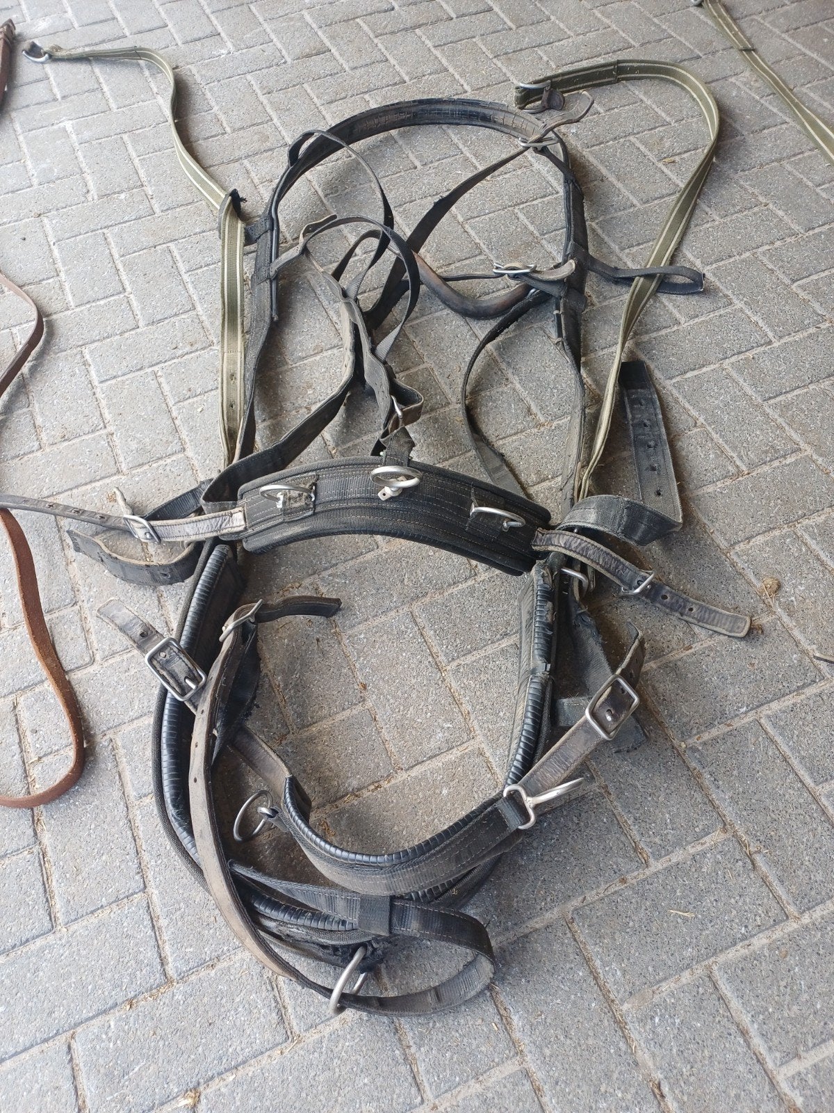 Te koop tweespan    trainingstuig, Ophalen, Overige soorten