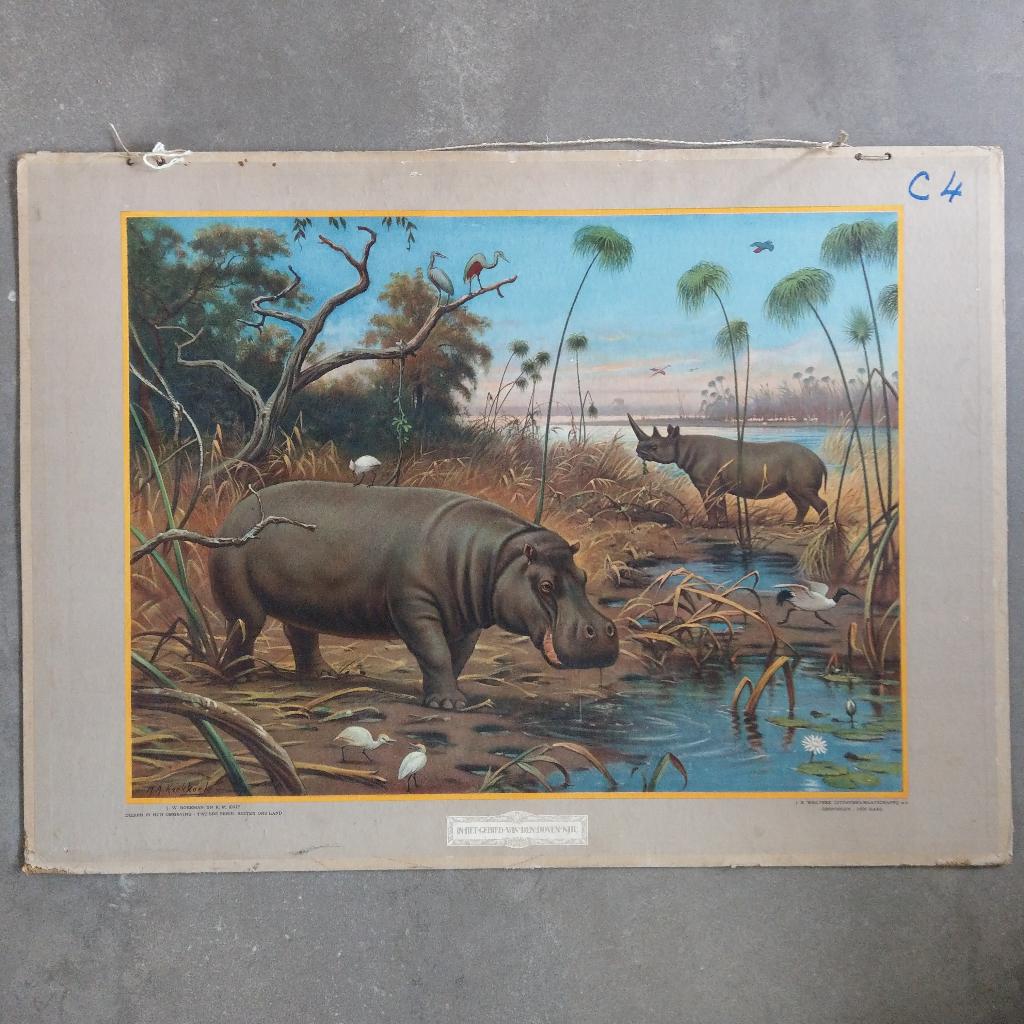 Schoolplaat In het gebied van den Boven-Nijl – Koekkoek 1924, Ophalen of Verzenden, Natuur en Biologie
