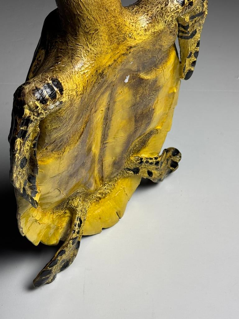 Schildpad Replica Kunststof, Ophalen