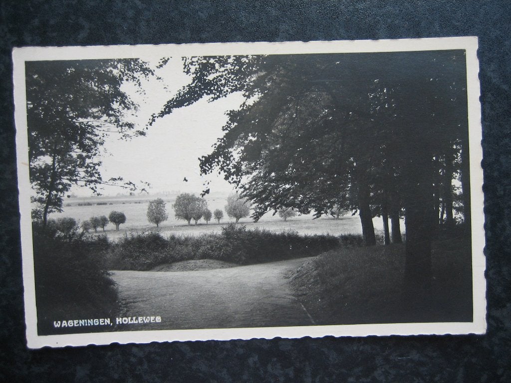 WAGENINGEN Holleweg  1937, Ophalen of Verzenden, 1920 tot 1940, Gelderland