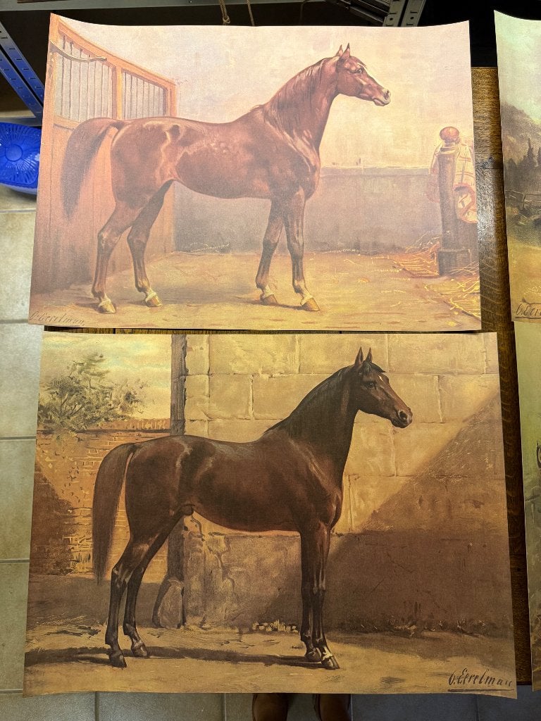 Otto Eerelman repro s van paarden 9x, Ophalen, Voor 1940, Zo goed als nieuw