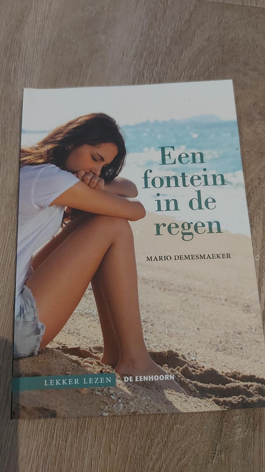 BB: Mario Demesmaeker - Een fontein in de regen, Ophalen of Verzenden, Zo goed als nieuw, Mario Demesmaeker