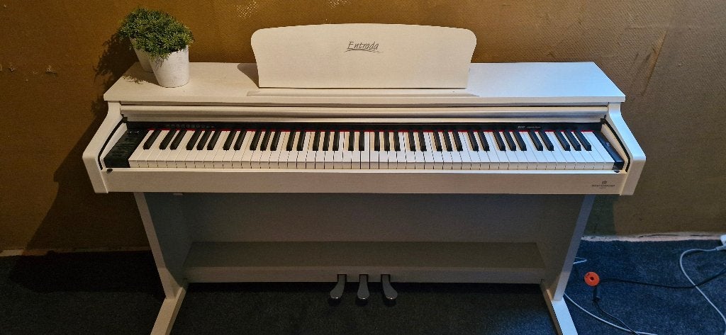 Digitale piano.merk entrada, Ophalen, Wit, Digitaal, Zo goed als nieuw