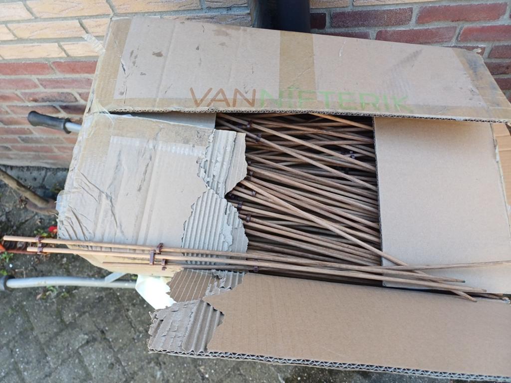 1000 Bamboe stokken 60 cm, aan één kant spits, Tuin en Terras, Palen, Balken en Planken, Ophalen, Nieuw, Minder dan 180 cm, Overige typen