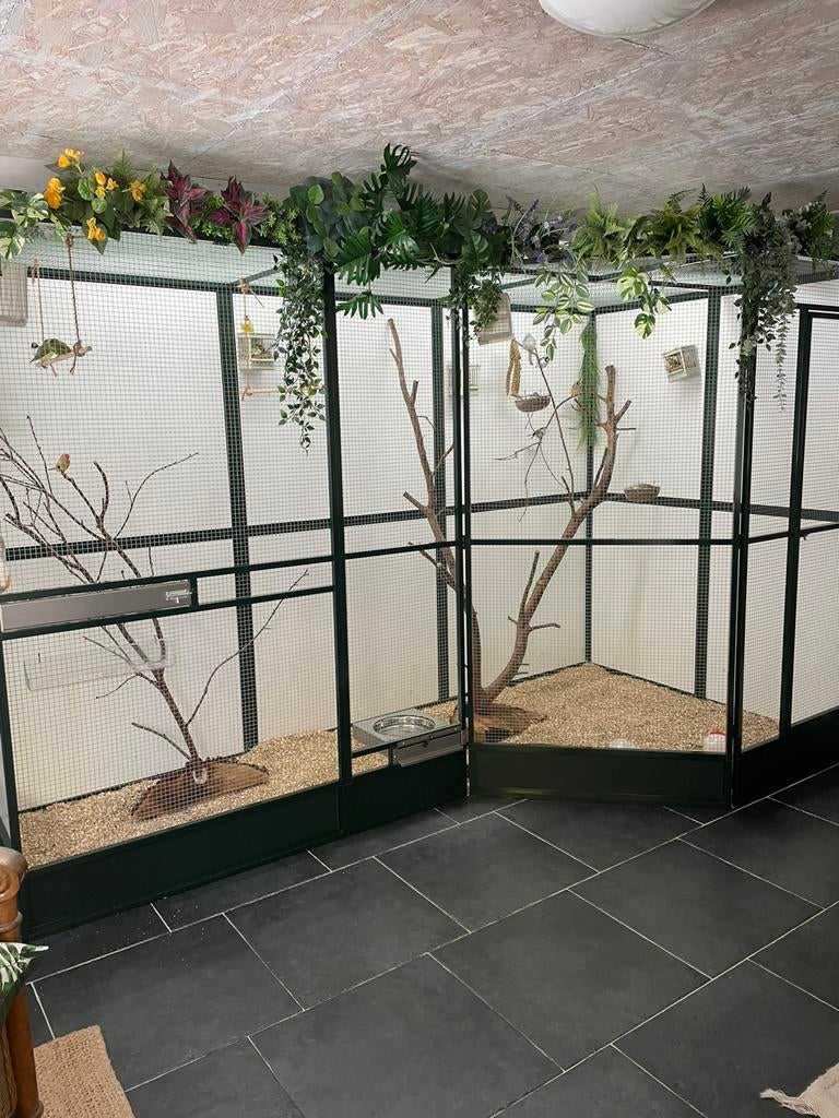 Te koop: mooie voliere met vogels en toebehoren, Ophalen, Zo goed als nieuw, Metaal, Volière