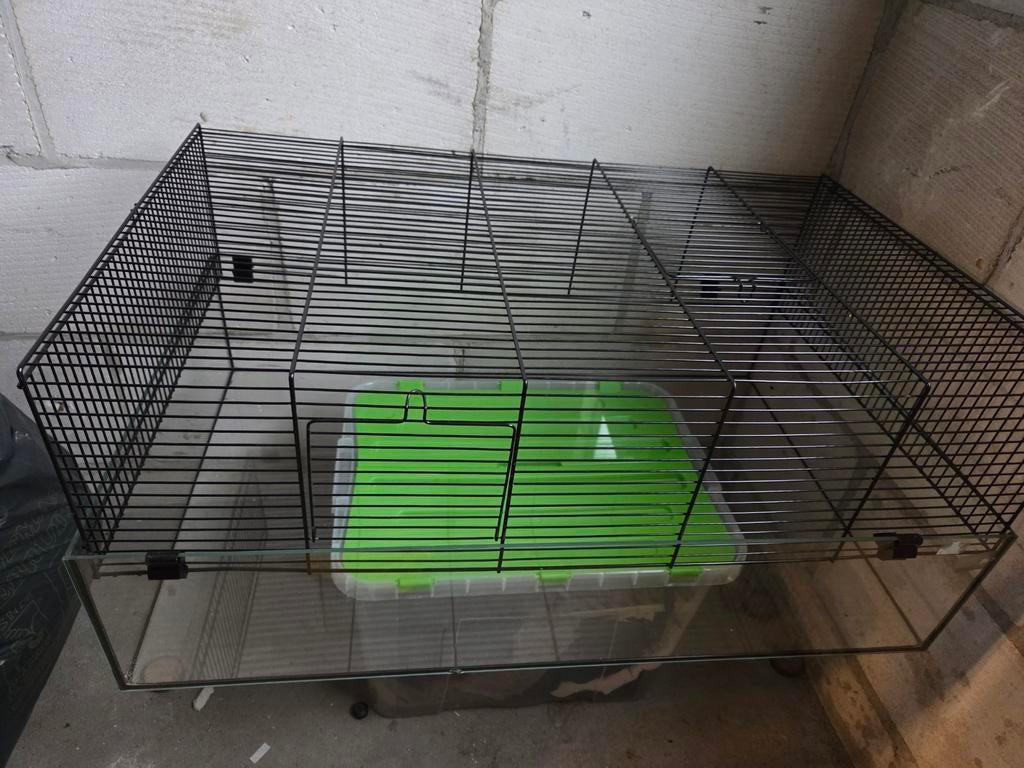 Grote hamster home, Kooi, Minder dan 75 cm, Hamster, Ophalen