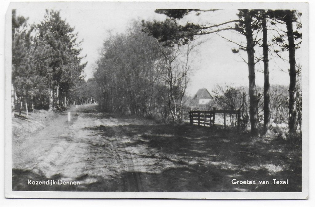 Texel Rozendijk Dennen gelopen ansichtkaart (B2358), Ophalen of Verzenden, 1980 tot heden, Gelopen, Waddeneilanden