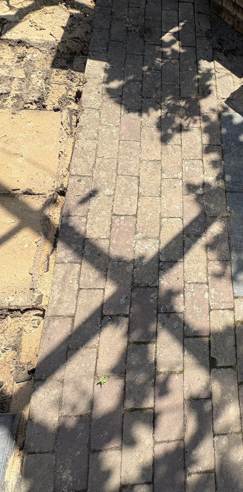 Gratis klinkers, ca. 8m2, direct op te halen, Tuin en Terras, Ophalen, Gebruikt, Klinkers, 5 tot 10 m²