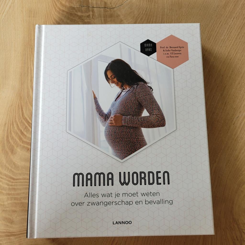 Boek Mama Worden, Boeken, Zwangerschap en Opvoeding, Ophalen of Verzenden, Zo goed als nieuw, Zwangerschap en Bevalling