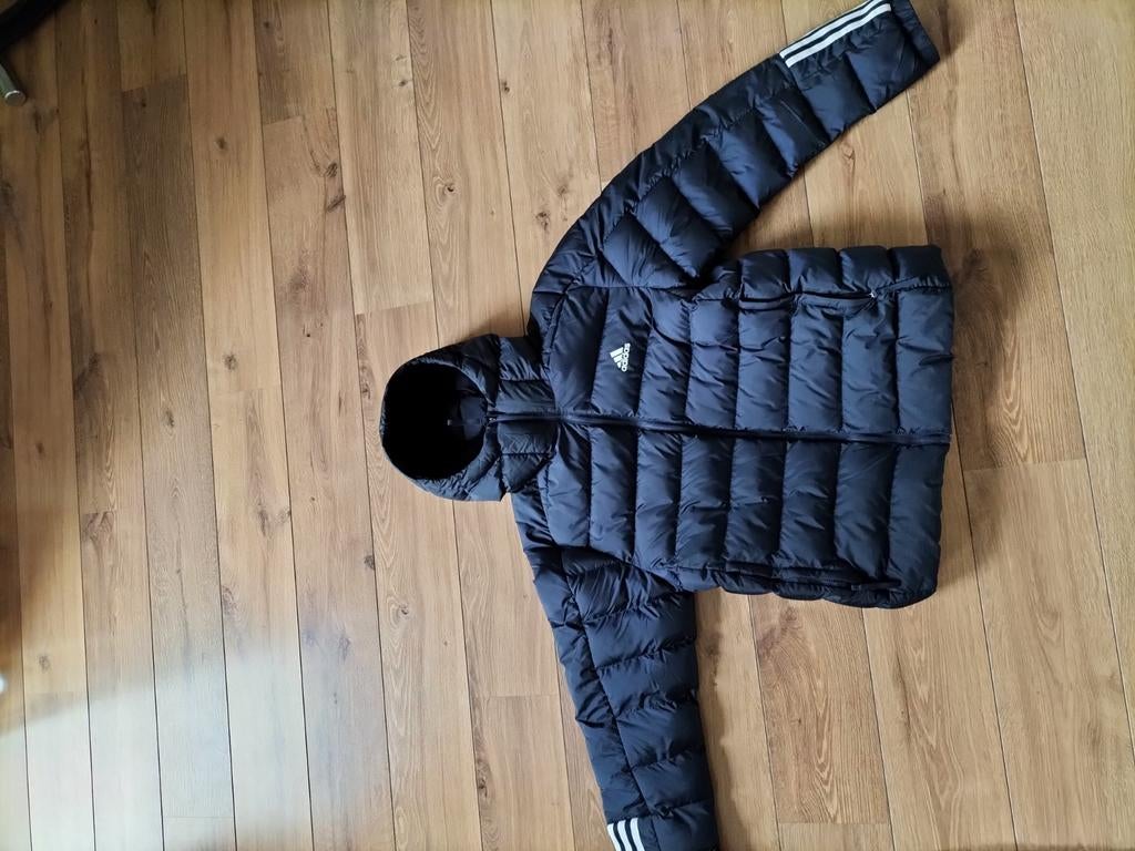 Nieuw Adidas Jas Maat M, Maat 48/50 (M), Zwart, Nieuw, Ophalen of Verzenden
