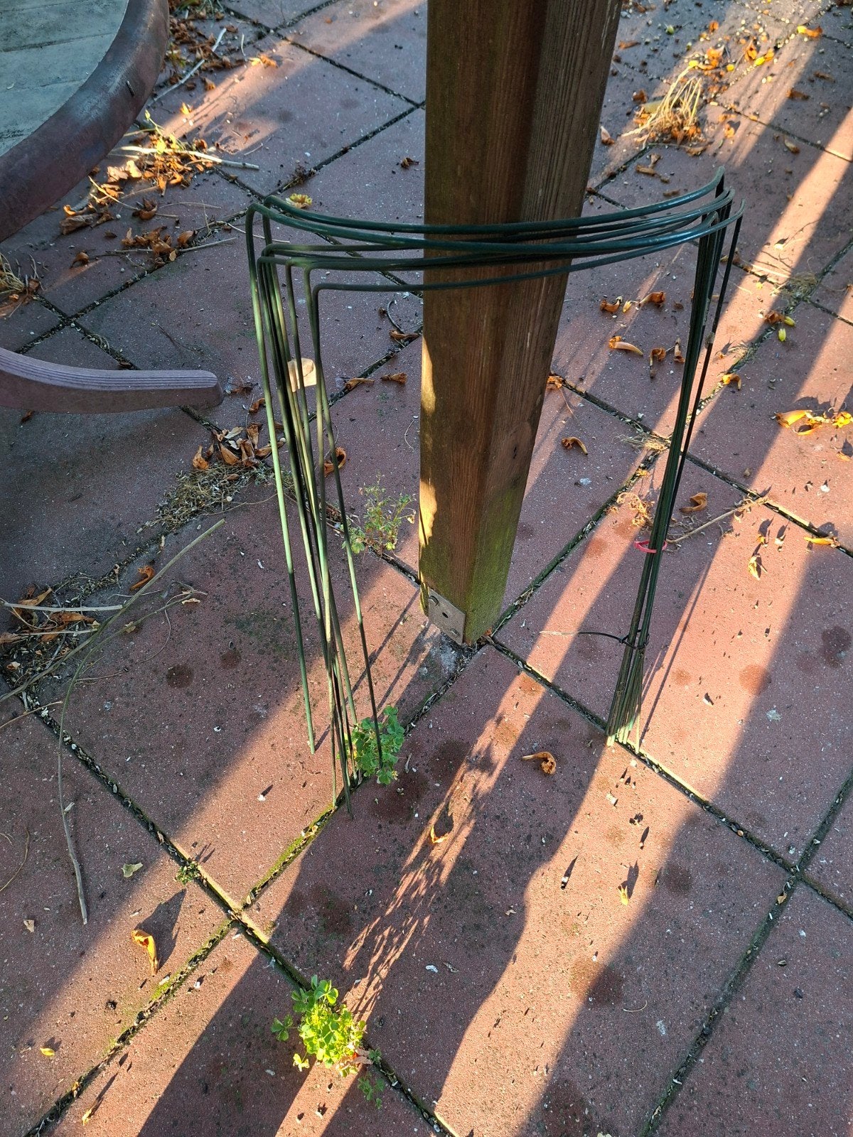 Metalen plantensteunen voor tuin of kweek, Ophalen, Gebruikt, Overige typen