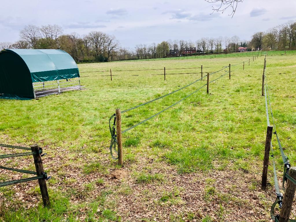 Weiland te huur met grote schuilstal 4 x 4 water en stroom, Dieren en Toebehoren, Weidegang