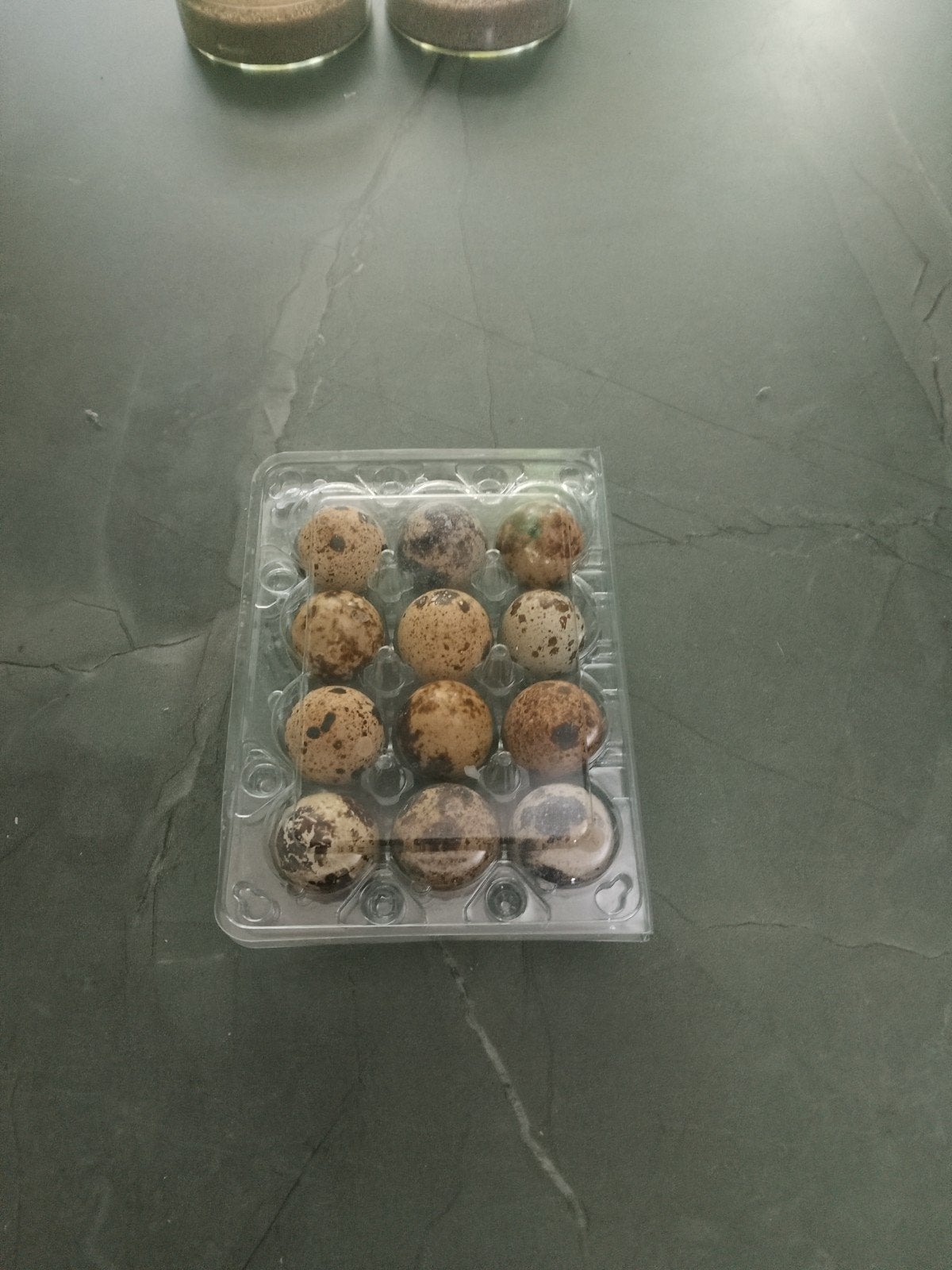 kwarteleieren / broedeieren, Geslacht onbekend, Overige soorten