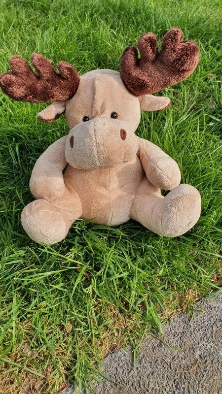Grote Knuffel Eland – Heerlijk Zacht – Ca. 35 cm, Ophalen of Verzenden, Zo goed als nieuw, Overige typen