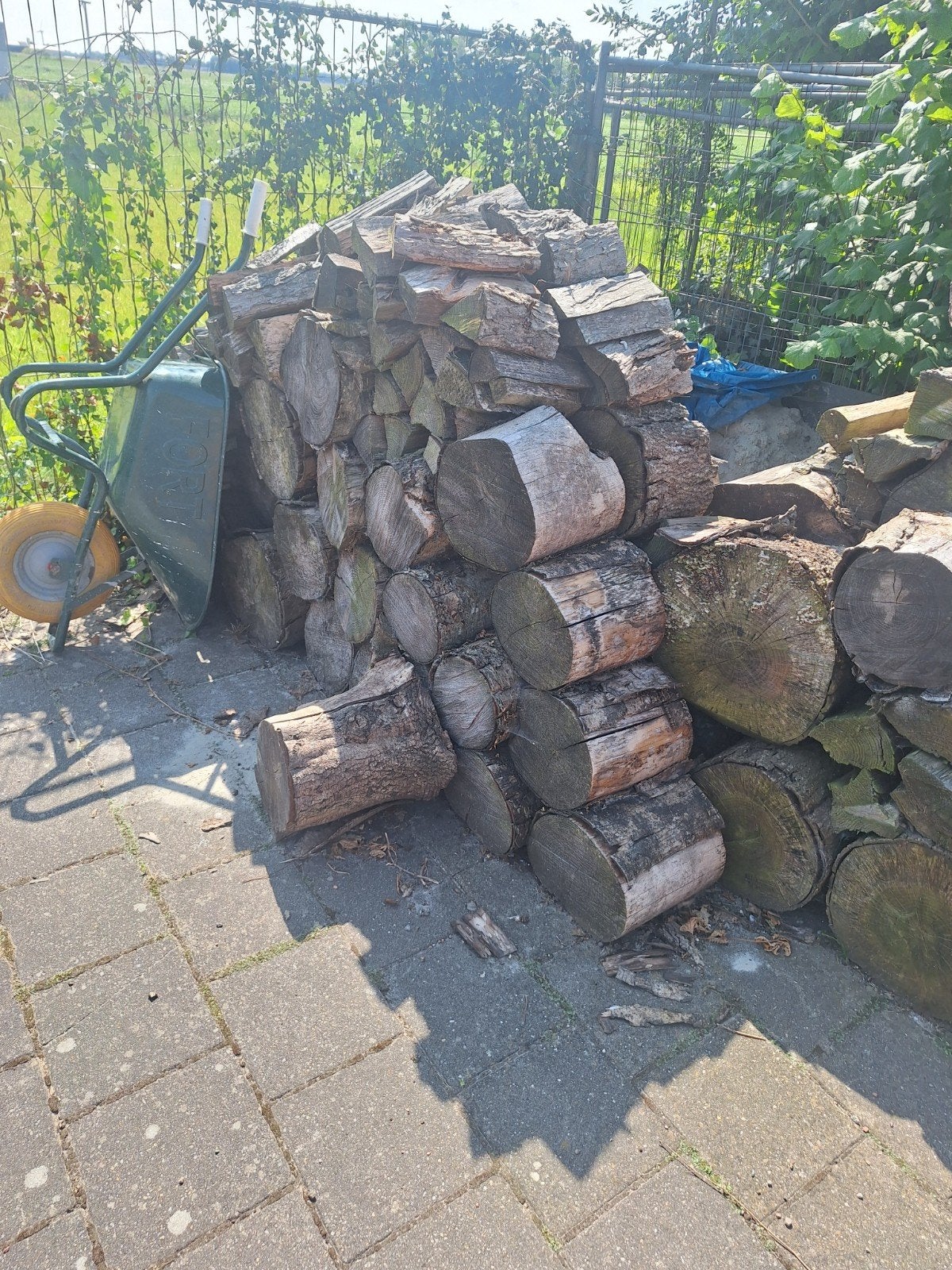 Diverse houtblokken en stammen voor brandhout, 6 m³ of meer, Ophalen, Overige houtsoorten, Blokken