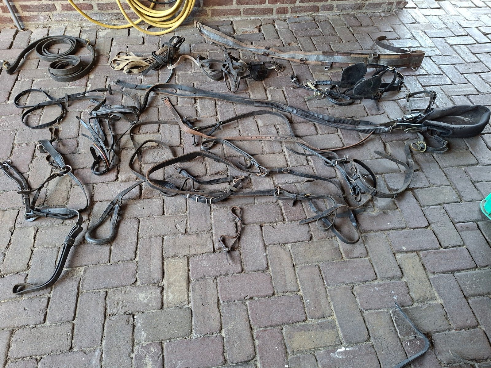 paardensport tuigage, Ophalen, Gebruikt