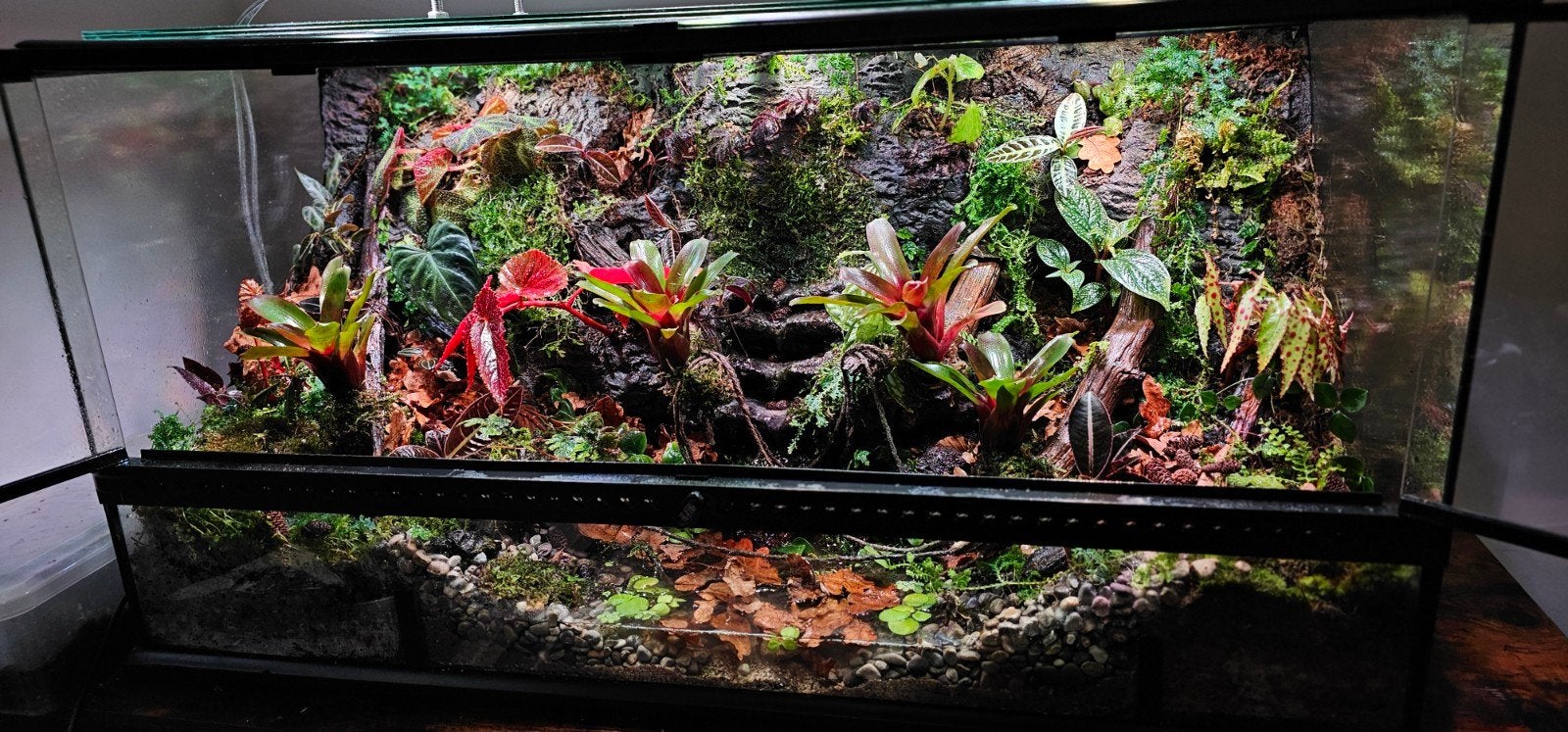 Paludarium  Terrarium 45/45/90, Ophalen, Plant(en), Steen of Hout