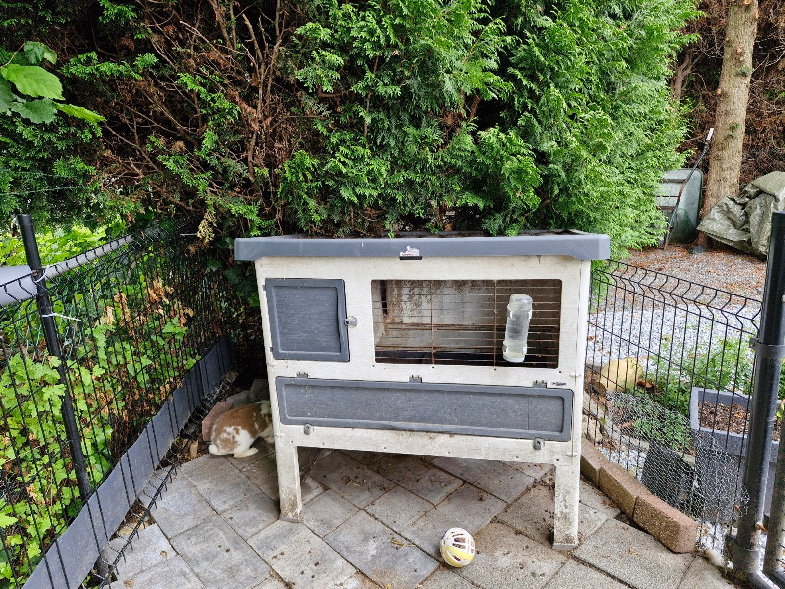 Te koop konijnenhok gebruikt, Dieren en Toebehoren