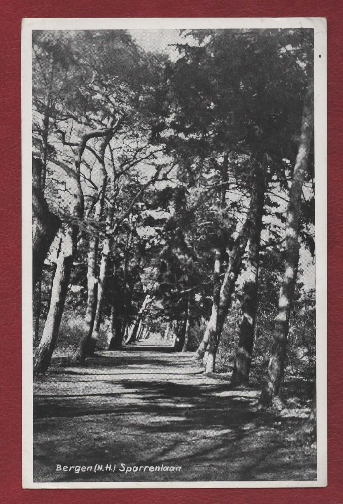 Bergen (N.H.) - Sparrenlaan - 1959 (pst.st. Bergen), Ophalen of Verzenden, 1940 tot 1960, Gelopen, Noord-Holland