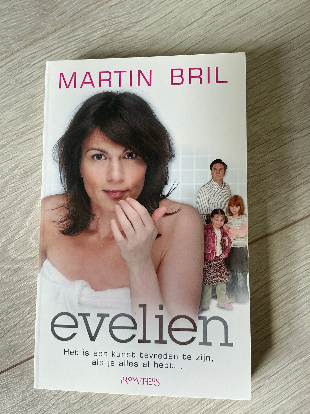 Evelien - Martin Bril (roman), Boeken, Ophalen of Verzenden, Zo goed als nieuw, Nederland