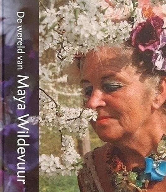 De wereld van Maya Wildevuur, Ophalen of Verzenden, Zo goed als nieuw, Schilder- en Tekenkunst