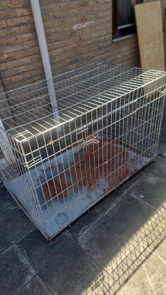 Grote bench, Dieren en Toebehoren, Ophalen