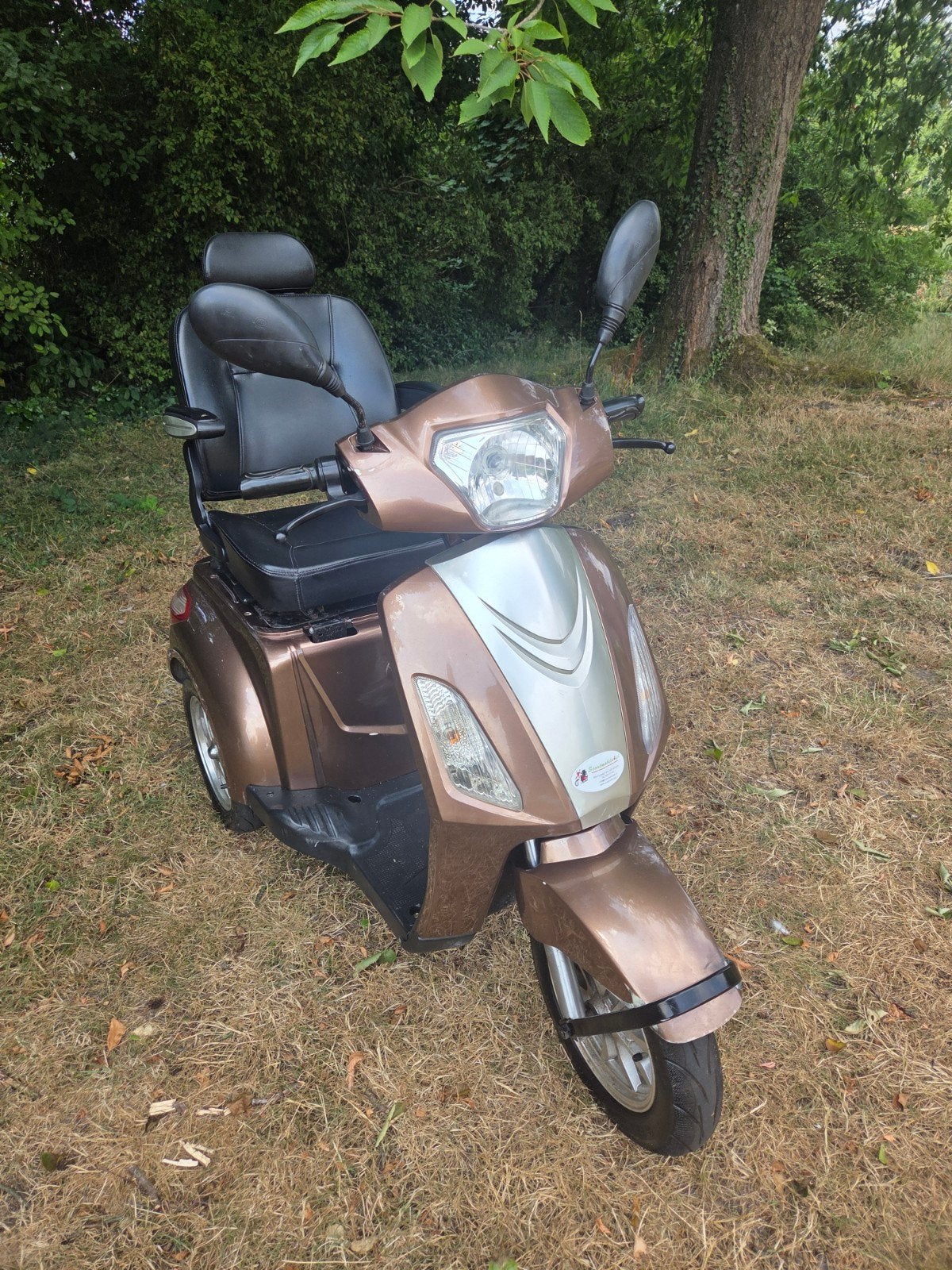 scootmobiel merk Hippicx rijdt 25 km per uur, Diversen, Brommobielen en Scootmobielen, Overige merken, Gebruikt, Ophalen of Verzenden