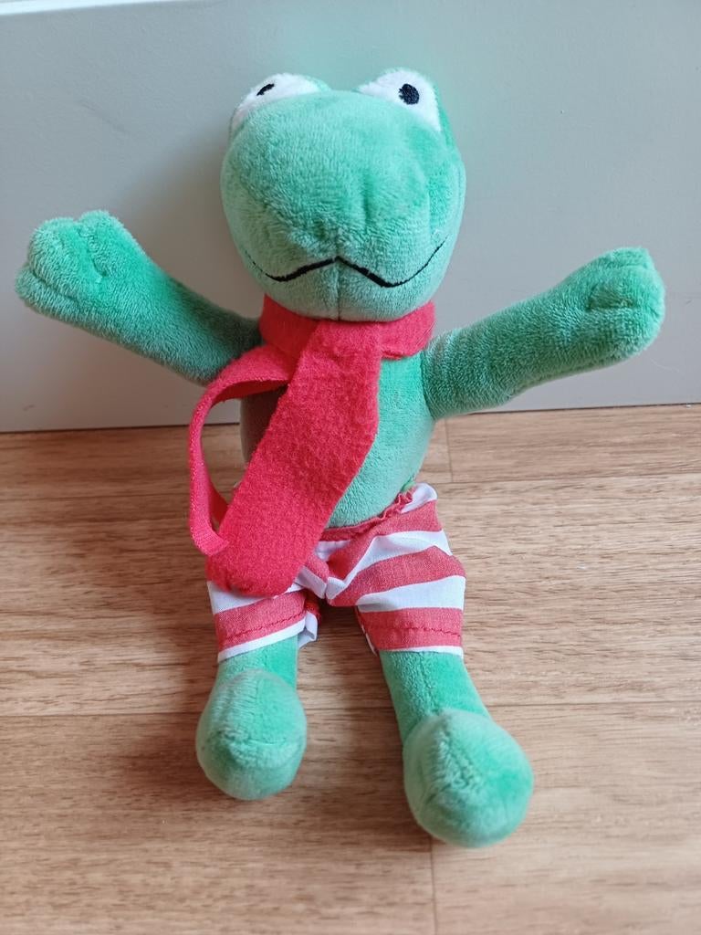 Max velthuijs kikker ongeveer 21 cm lang, Ophalen of Verzenden, Kikker