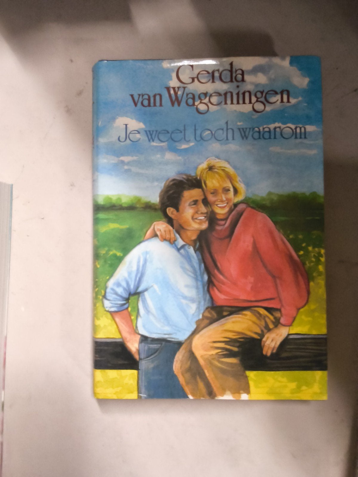 Diverse boeken: Romans, jeugdboeken en meer, Ophalen of Verzenden, Gelezen, Diverse auteurs