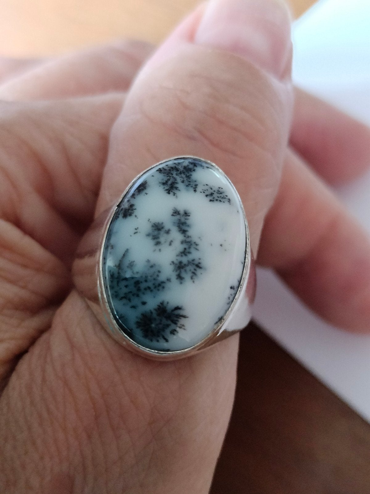 zilveren ring met dentric Opal maat 21, Overige kleuren, 20 of groter, Verzenden, Nieuw