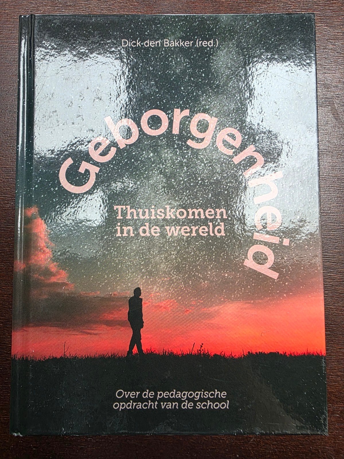 Geborgenheid thuiskomen in een wereld - Dick den Bakker

Boe, Ophalen of Verzenden, Zo goed als nieuw, Sociale psychologie, Dick den Bakker