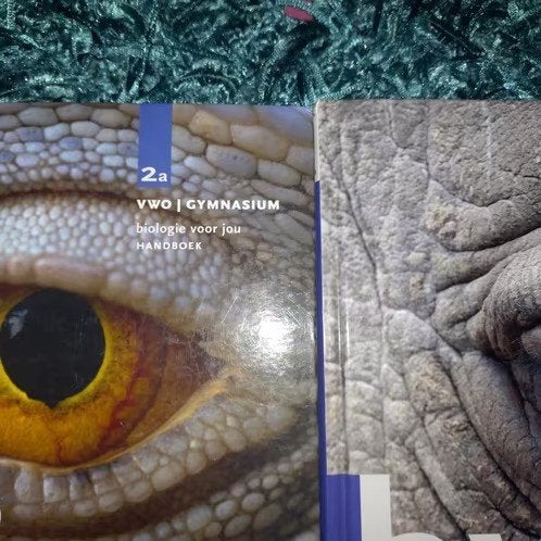 Bio Boeken, Ophalen of Verzenden, Zo goed als nieuw, HAVO