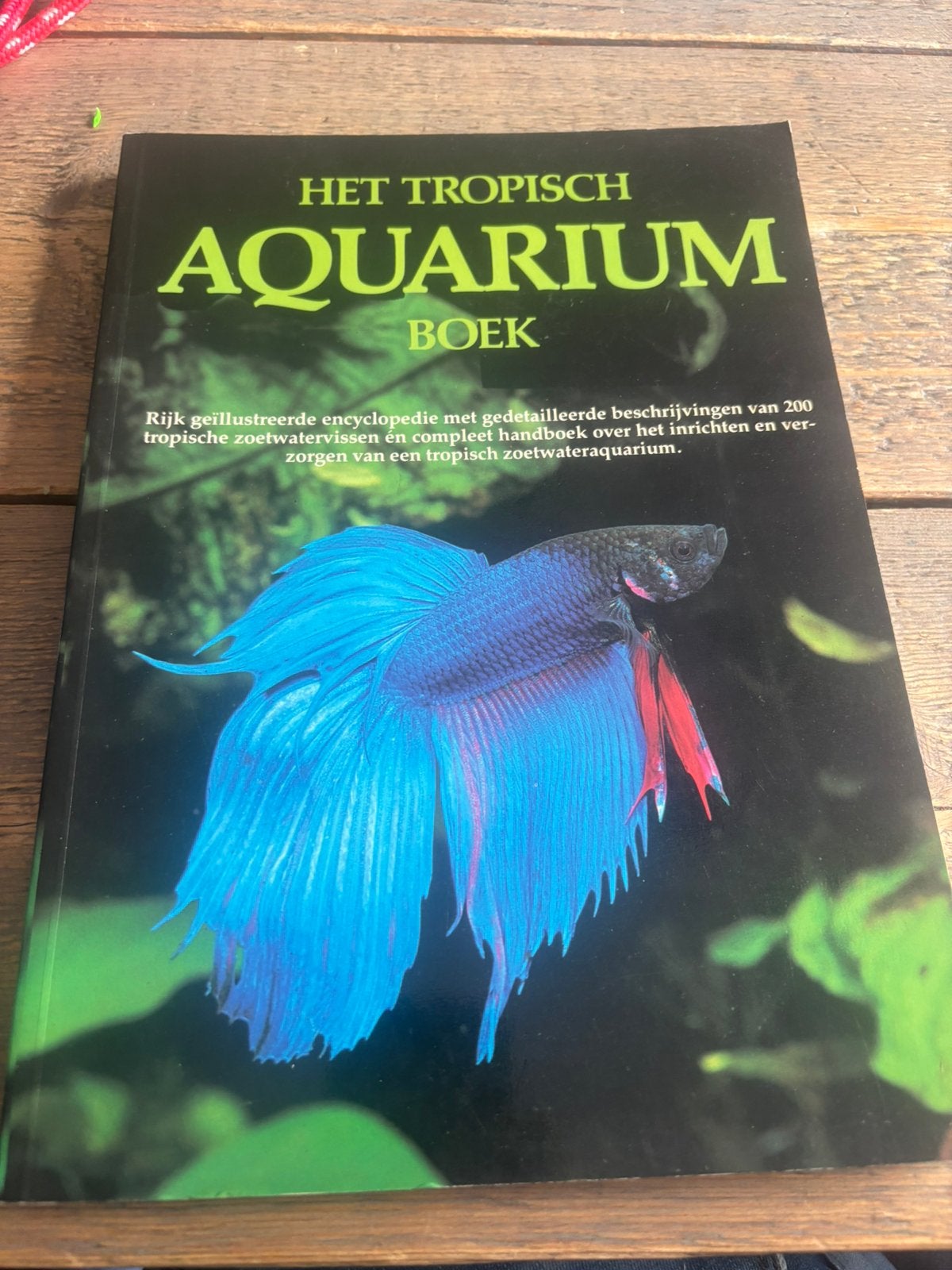Mooi dik boek het tropisch aquarium boek! 5€, Ophalen of Verzenden, Zo goed als nieuw, Vissen