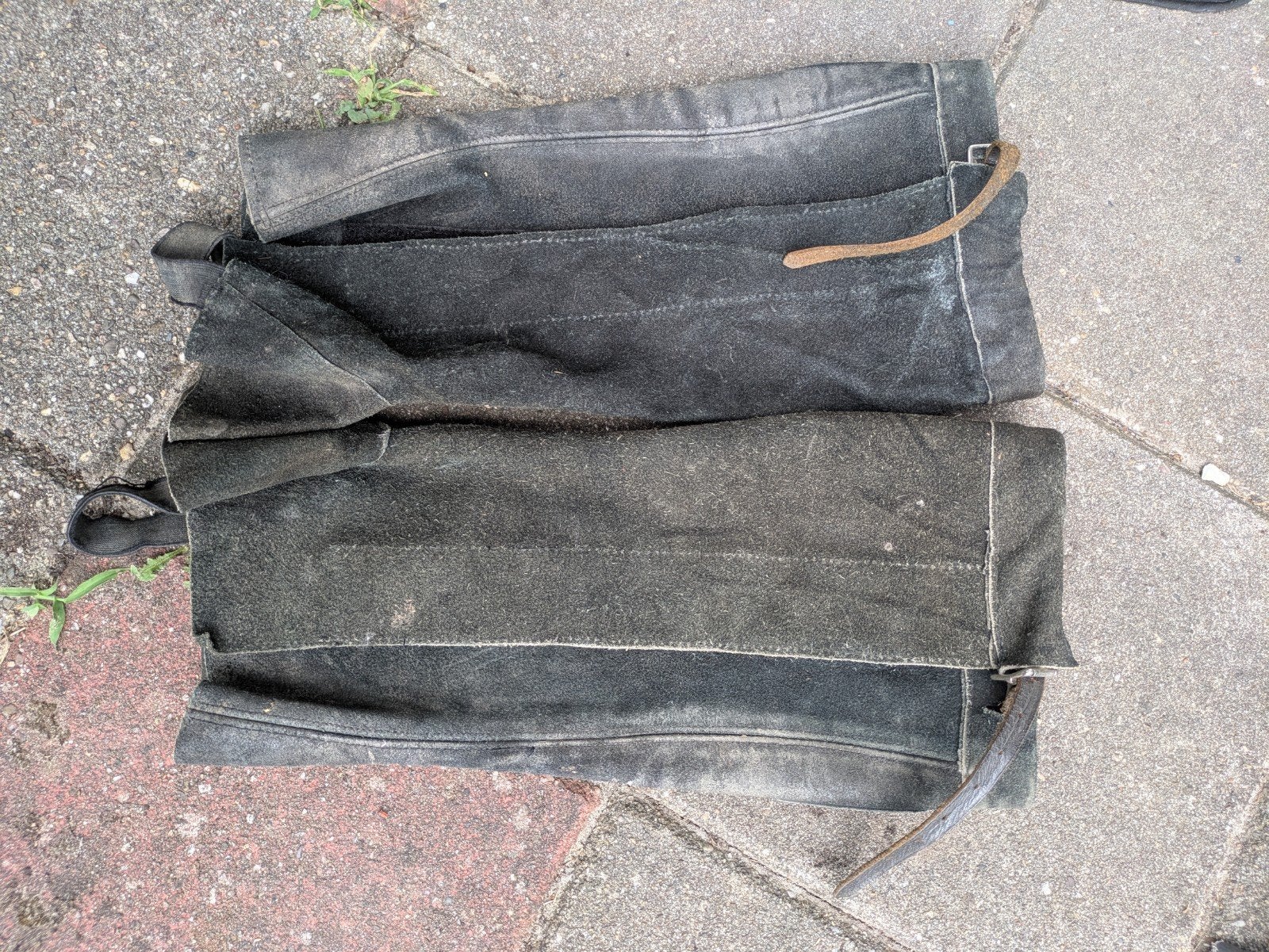 chaps XL zwart, Dieren en Toebehoren, Ophalen of Verzenden, Dressuur