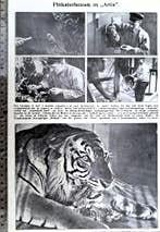 Artis 1926; 1 blz. Voorjaar in de dierentuin, Verzenden, Voor 1940, Gebruikt, Dier