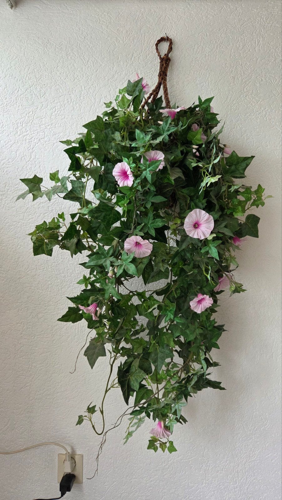 Hangplant Hedera/Morning glory mix incl hangpot, Ophalen, Nieuw