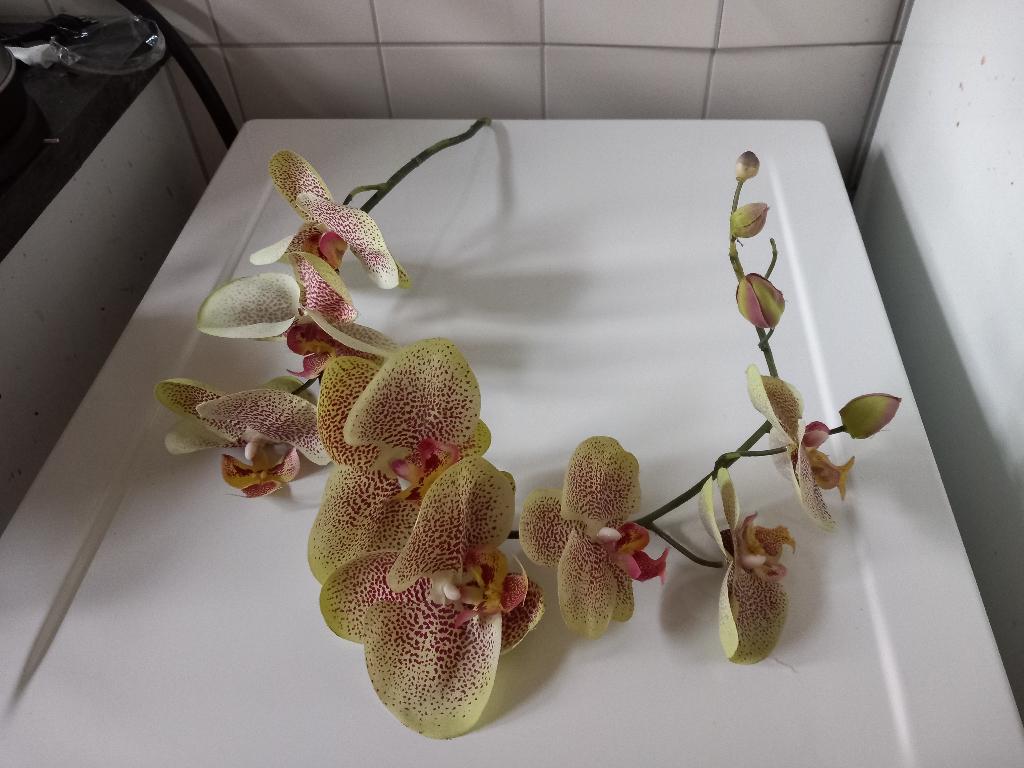 Orchideeën tak 70cm (Nijmegen oost), Ophalen of Verzenden, Gebruikt, Kunstbloem, Geel