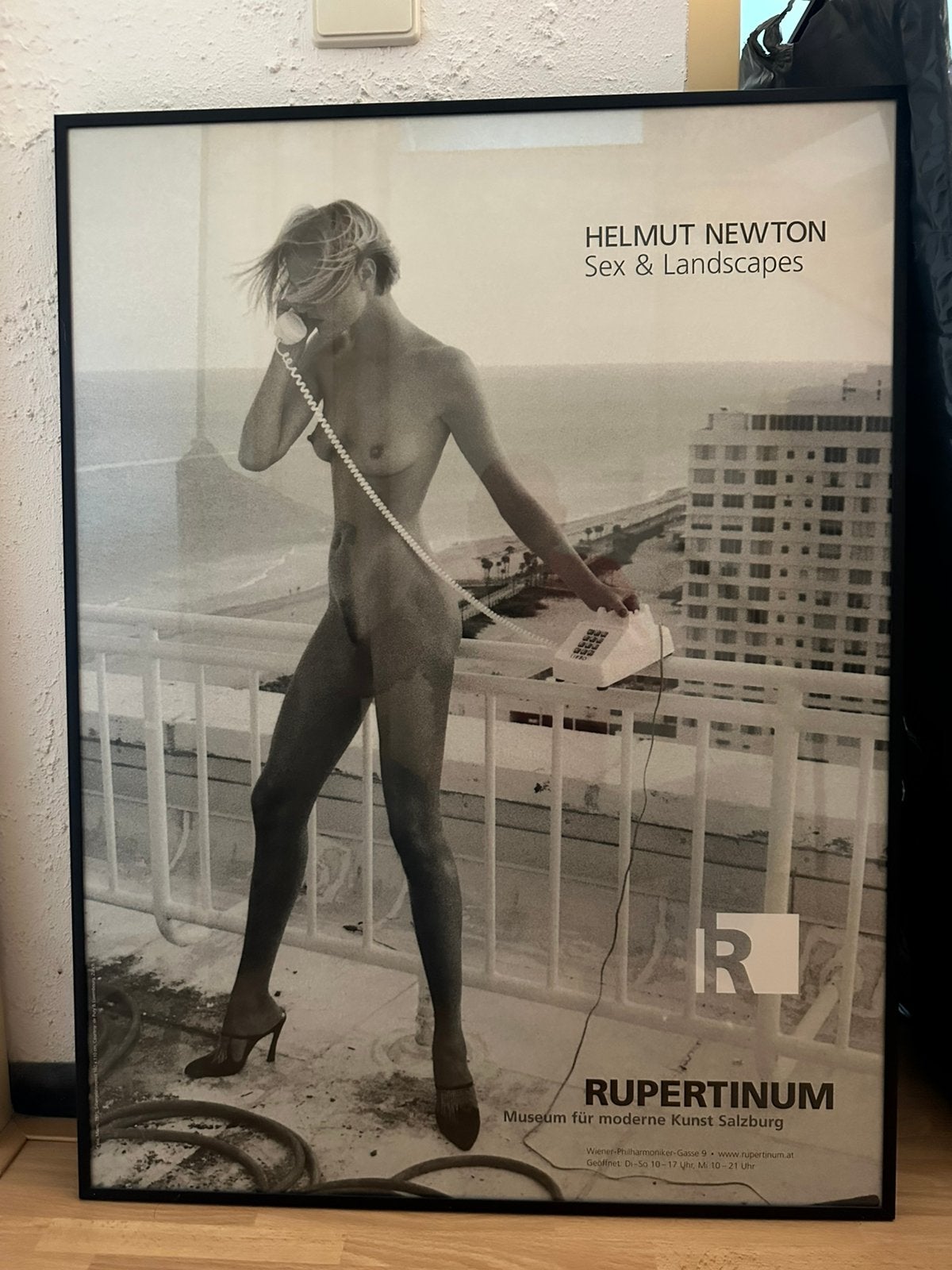 Grote Helmut Newton poster ingelijst, Ophalen