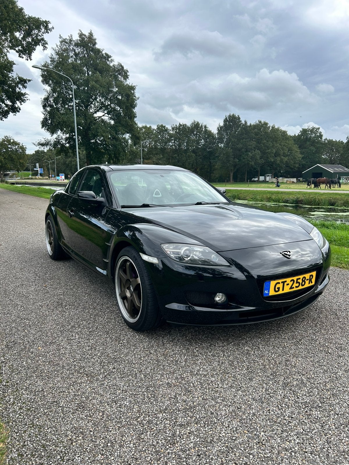 Mazda RX-8 1.3 I 141KW Renesis 2006 Zwart, 1308 cc, Achterwielaandrijving, Zwart, 192 pk