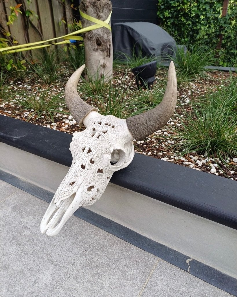 Skull buffel / stier decoratie, Verzamelen, Dierenverzamelingen, Ophalen, Zo goed als nieuw, Wild dier, Beeldje of Figuurtje