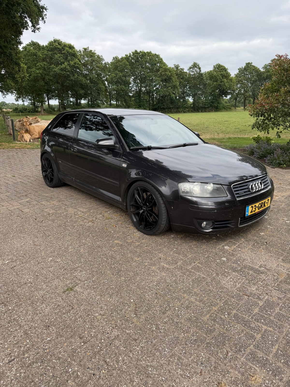 Audi A3 2004 Grijs, 3189 cc, 1600 kg, 84 €/maand, 750 kg