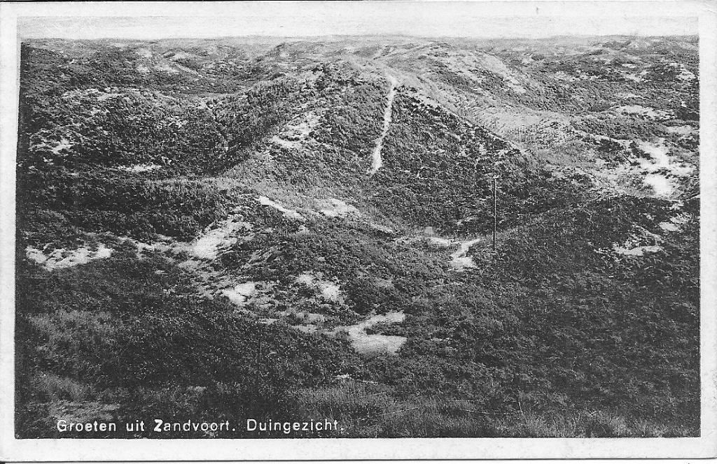 Groeten uit Zandvoort Duingezicht., Ophalen of Verzenden, 1920 tot 1940, Ongelopen, Noord-Holland