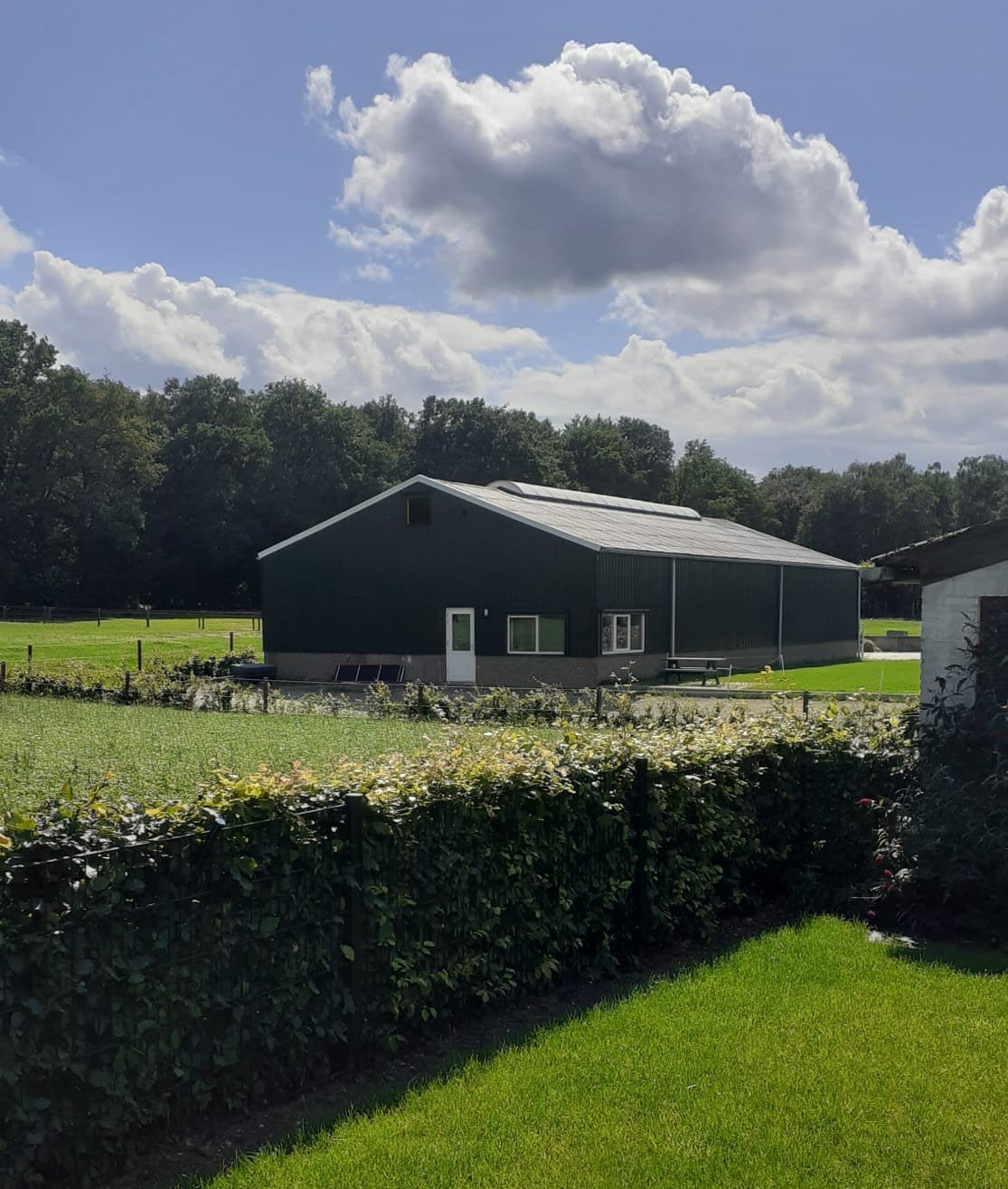 Pensionstal te Berg en Dal nabij Nijmegen, Dieren en Toebehoren, Ophalen