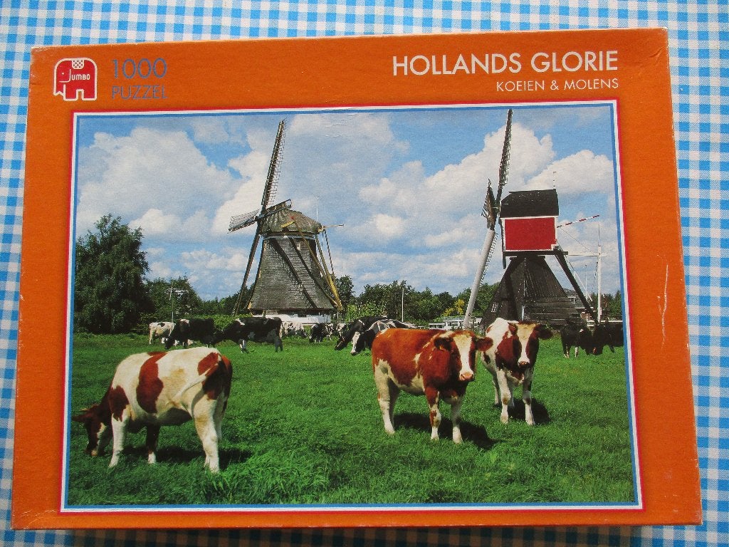 Puzzel Hollands Glorie - Jumbo - 1000 stukjes, Ophalen of Verzenden, 500 t/m 1500 stukjes, Zo goed als nieuw, Legpuzzel