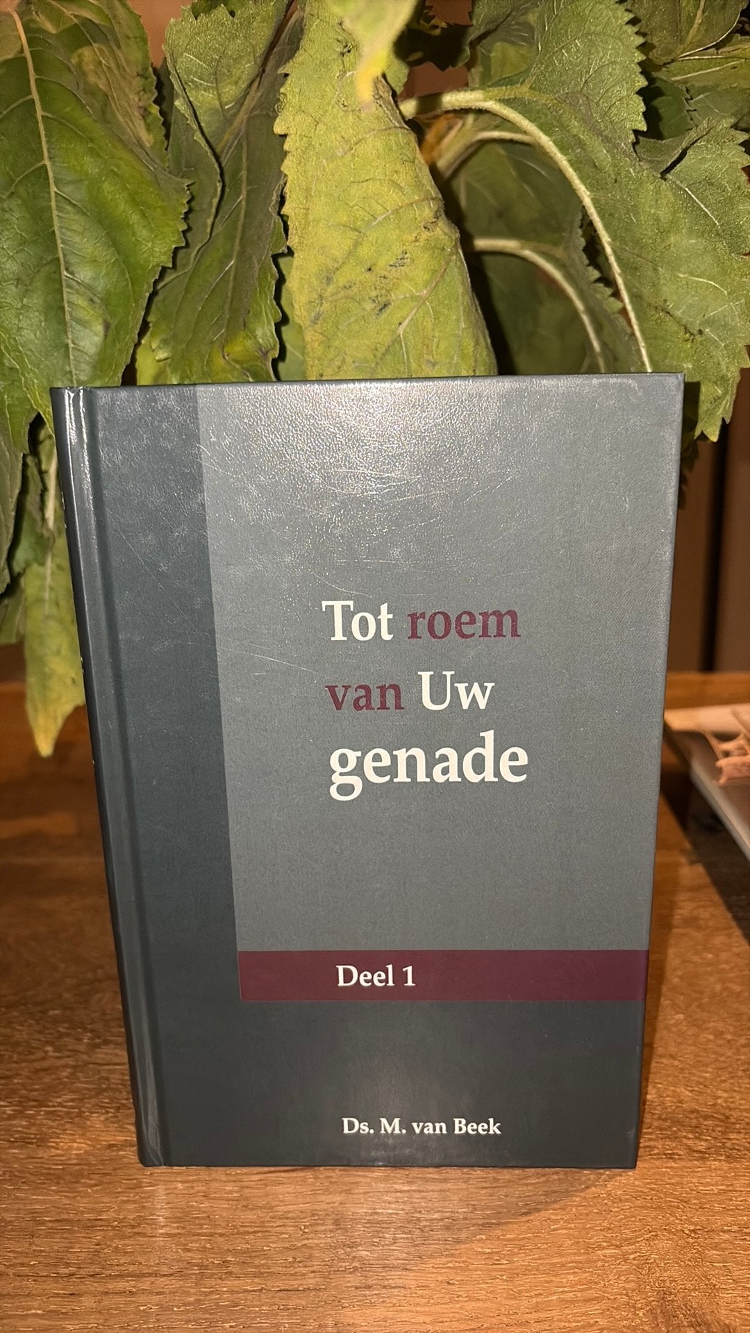 KR-1 Ds M v Beek Tot roem van Uw genade deel 1, Boeken, Ophalen of Verzenden, Zo goed als nieuw