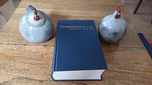Trommius, Nederlandse Concordantie van de Bijbel, Boeken, Ophalen of Verzenden, Gelezen, Christendom | Protestants