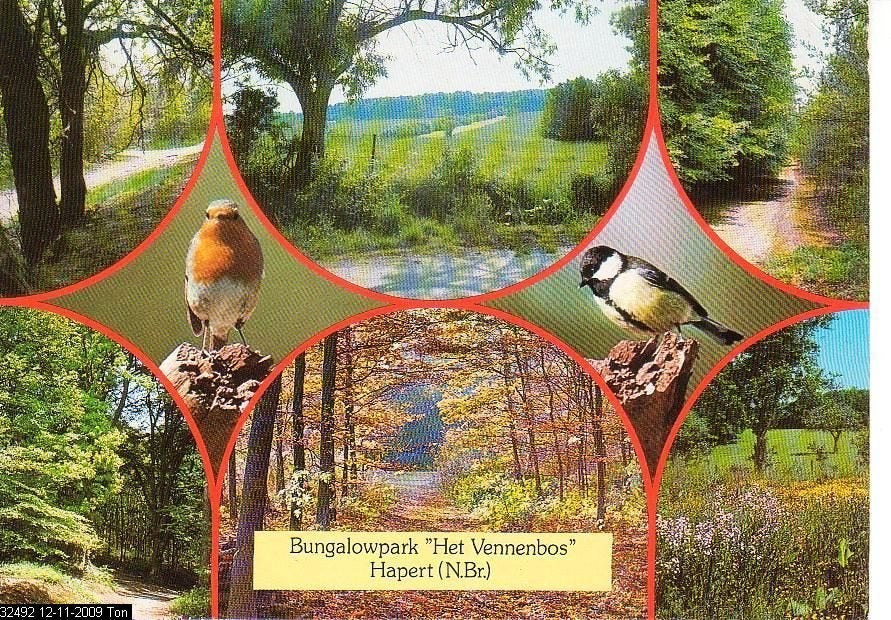 Ansichtkaart 	Hapert	Het Vennenbos Bungalowpark	8-luik, Verzenden, 1980 tot heden, Ongelopen, Noord-Brabant