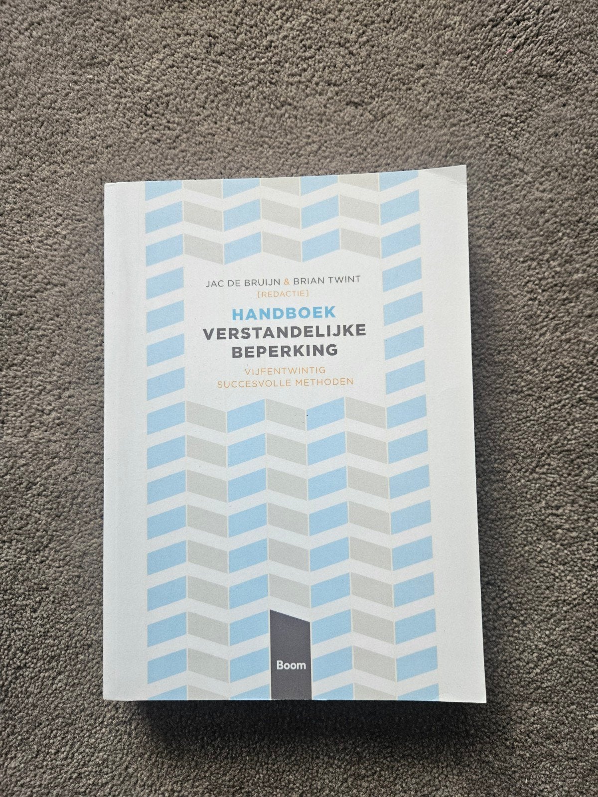 Handboek Verstandelijke Beperking - Jac de Bruijn, Jac de Bruijn & Brian Twint, Zo goed als nieuw, Gamma, HBO