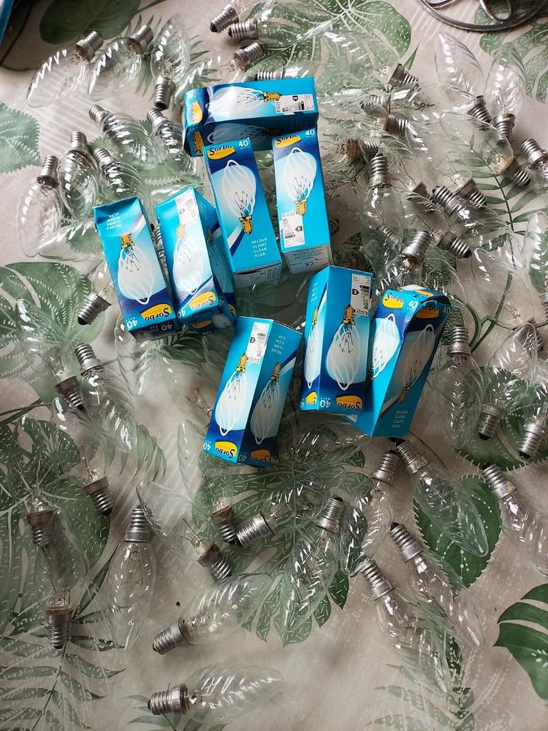 Sorbo 40W gloeilampen, nieuw maar zonder doosje, waterschade, Ophalen, Nieuw