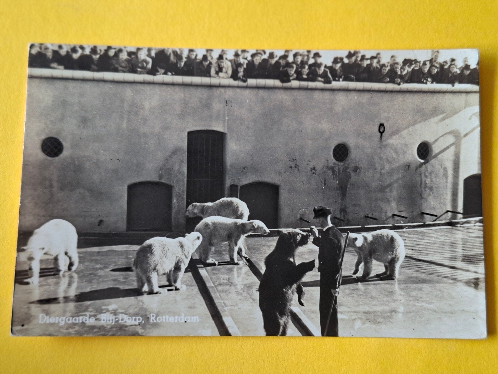 Diergaarde Blijdorp, Ophalen of Verzenden, Voor 1920, Zuid-Holland